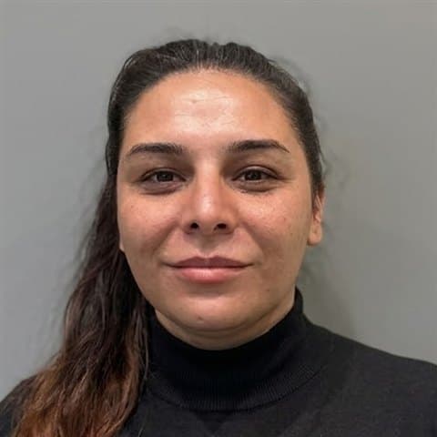 Pelinsu Pelit